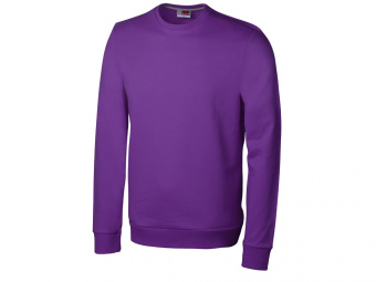 Свитшот Motion с начесом, унисекс (фиолетовый)