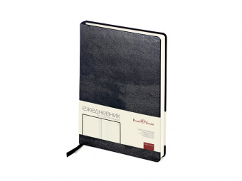 Ежедневник недатированный А5 Megapolis (черный)