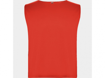 Спортивная безрукавка Ajax, унисекс (красный)