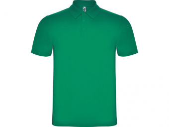 Рубашка поло Austral мужская (зеленый)