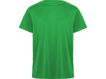 Спортивная футболка Daytona мужская (зеленый)