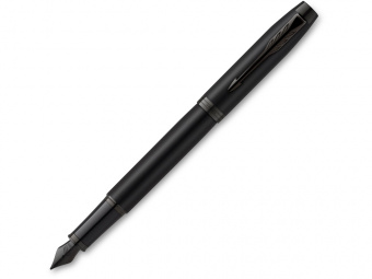 Ручка перьевая Parker IM Achromatic Matte Black BT (черный)