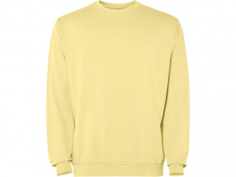 Свитшот Jaya, унисекс (желтый выстиранный)