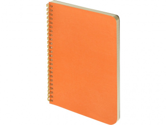 Бизнес тетрадь А5 Pragmatic (оранжевый)