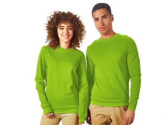 Свитшот Motion с начесом, унисекс (зеленое яблоко)