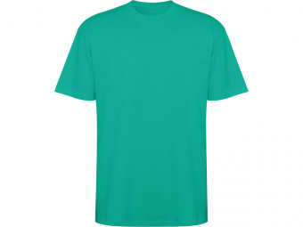 Футболка оверсайз Bull, унисекс (бирюзовый)