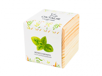 Набор для выращивания Big village cube Мелиса Мохито (натуральный)