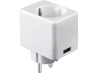 Умная розетка с USB портом IoT P09 (белый)