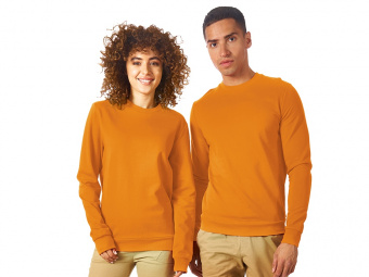 Свитшот Motion с начесом, унисекс (оранжевый)