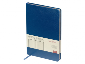 Ежедневник недатированный А5 Megapolis (синий)